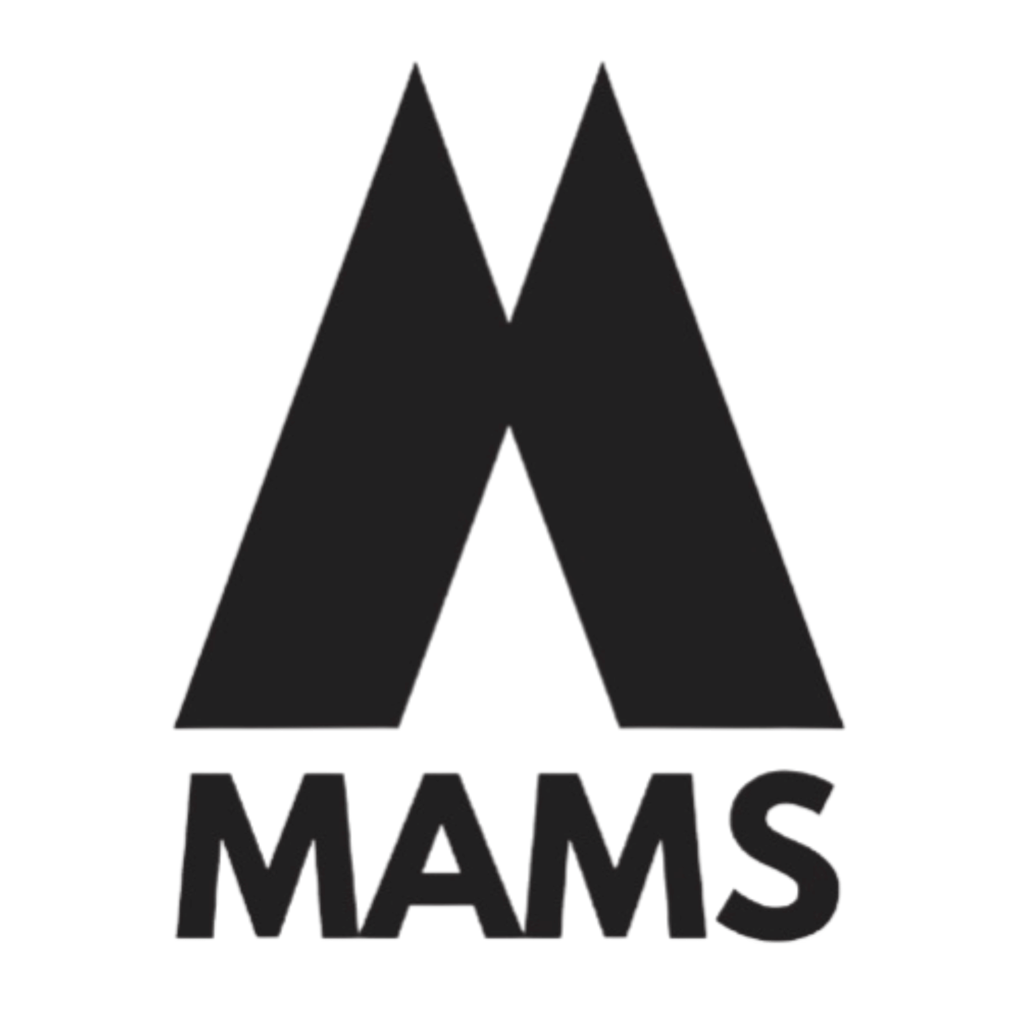 Logo MAMS International Corp